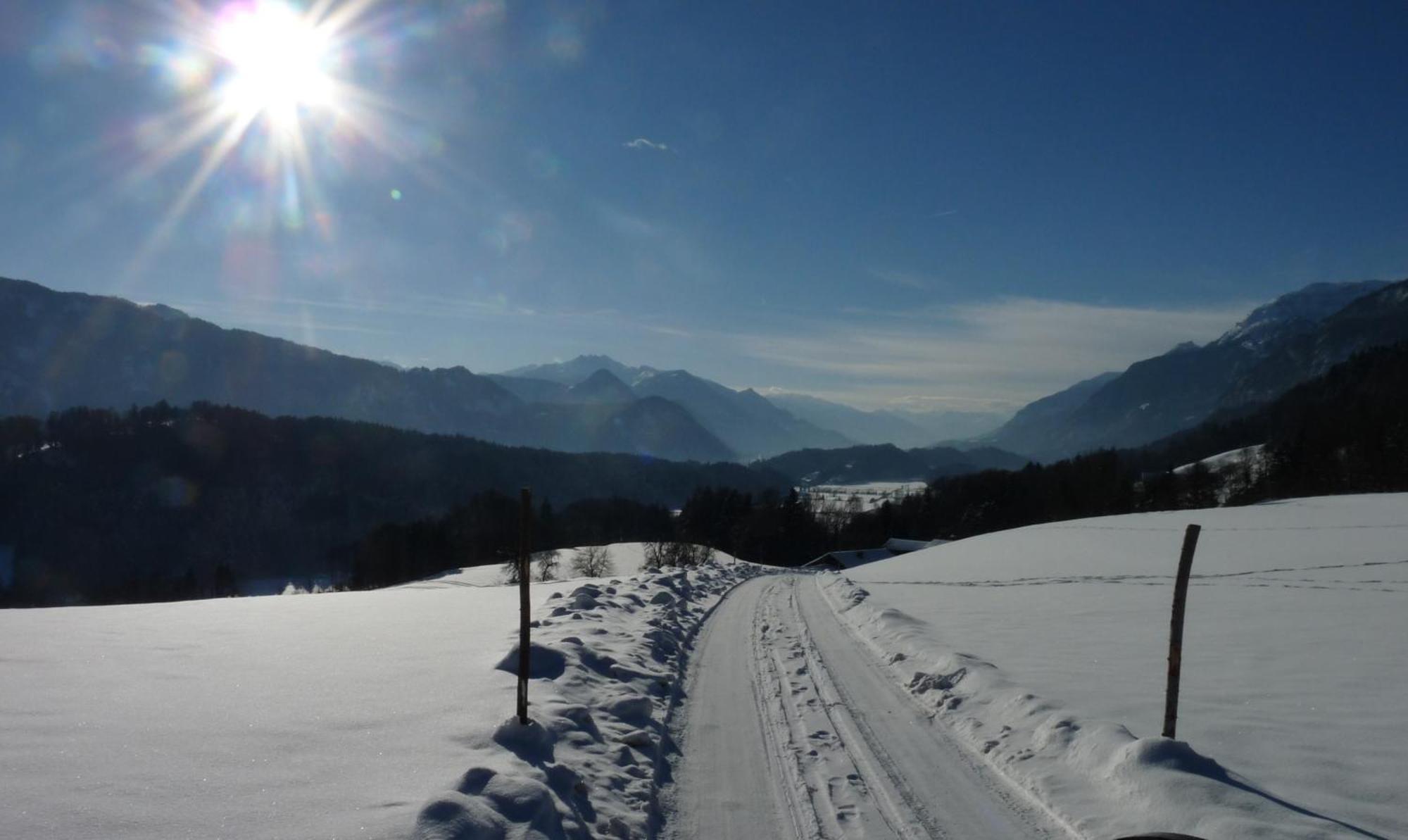 Pension Edelweiss Breitenbach am Inn ภายนอก รูปภาพ