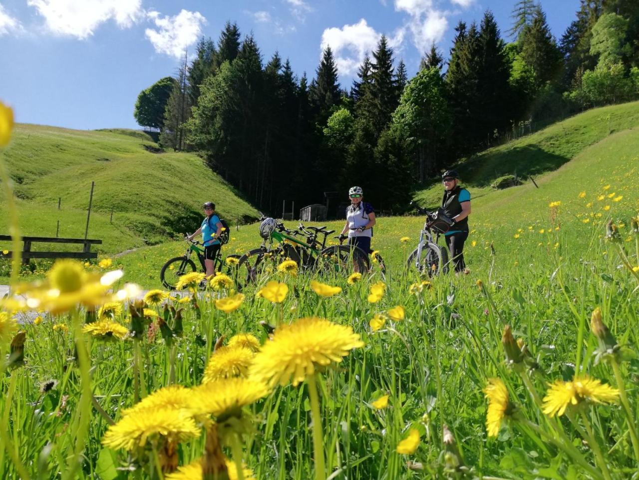 Pension Edelweiss Breitenbach am Inn ภายนอก รูปภาพ