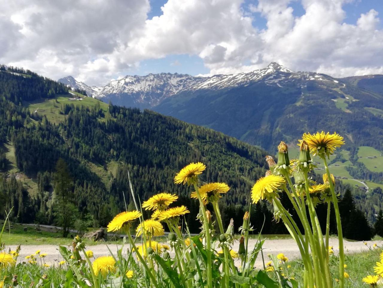Pension Edelweiss Breitenbach am Inn ภายนอก รูปภาพ
